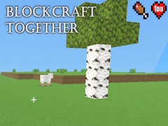 Тоглоом BlockCraft Together