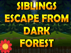 Тоглоом Siblings Escape From Dark Forest