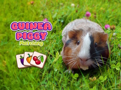 Тоглоом Guinea Piggy Matching