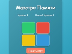 Тоглоом Memory Maestro