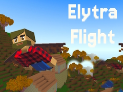 Тоглоом Elytra Flight