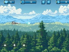 Тоглоом Iron Bird Shooter