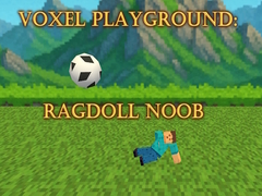 Тоглоом Voxel Playground: Ragdoll Noob