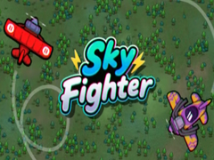 Тоглоом Sky Fighter