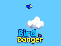 Тоглоом Bird in Danger