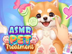Тоглоом ASMR Pet Treatment