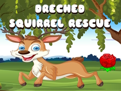 Тоглоом Drenched Squirrel Rescue
