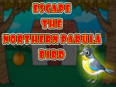 Тоглоом Escape the Northern Parula Bird