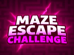 Тоглоом Maze Escape Challenge