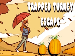 Тоглоом Trapped Turkey Escape