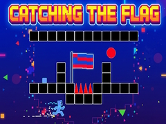 Тоглоом Catching the Flag