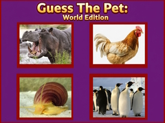 Тоглоом Guess The Pet: World Edition