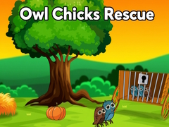 Тоглоом Owl Chicks Rescue from Cage