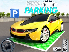 Тоглоом Steer Parking 