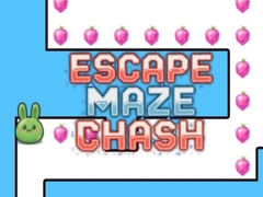 Тоглоом Escape Maze Chush