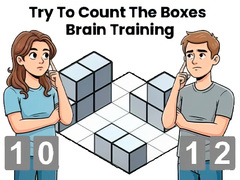 Тоглоом Try To Count The Boxes Brain Training