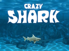 Тоглоом Crazy Shark