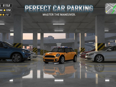 Тоглоом Perfect Car Parking