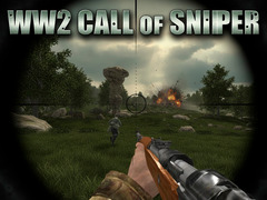 Тоглоом WW2 Call of Sniper