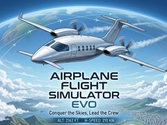 Тоглоом Airplane Flight Simulator EVO