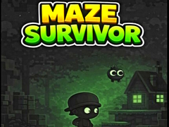 Тоглоом Maze Survivor 