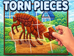 Тоглоом Torn Pieces