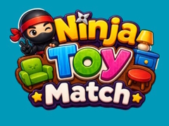 Тоглоом Ninja Toy Match