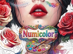 Тоглоом Numicolor