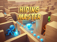 Тоглоом Hiding Master