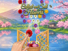 Тоглоом Collect and Sell Flowers