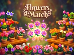 Тоглоом Flowers Match