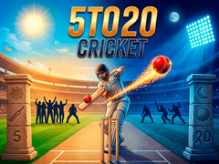 Тоглоом 5TO20 Cricket