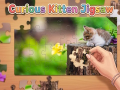 Тоглоом Curious Kitten Jigsaw