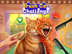 Тоглоом Brush Cat Challenge 
