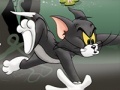 Тоглоом Tom And Jerry Chase In Marsh
