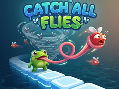 Тоглоом Catch All Flies