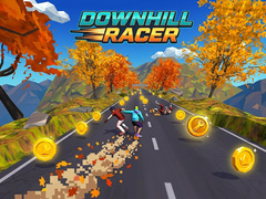Тоглоом Downhill Racer