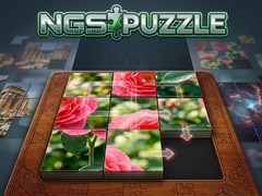 Тоглоом NGS Puzzle
