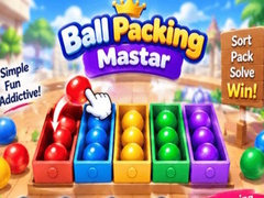 Тоглоом Packing Master Puzzle