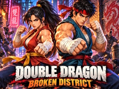 Тоглоом Double Dragon Broken District