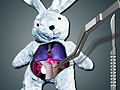 Тоглоом Save The Bunny