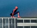 Тоглоом Spiderman 3: Rescue Mary Jane
