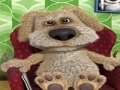 Тоглоом Talking Ben the Dog