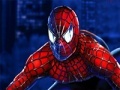Тоглоом Spiderman Toys Transporter