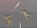 Тоглоом Ragdoll Volleyball