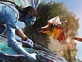 Тоглоом Avatar: Find The Numbers