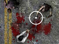 Тоглоом Undead Highway