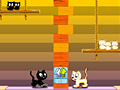 Тоглоом Swing Cat