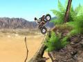заль мэх тоглоом 