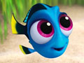 Dory тоглоомыг олох 